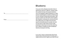 Sponsor Blueberry