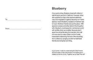 Sponsor Blueberry