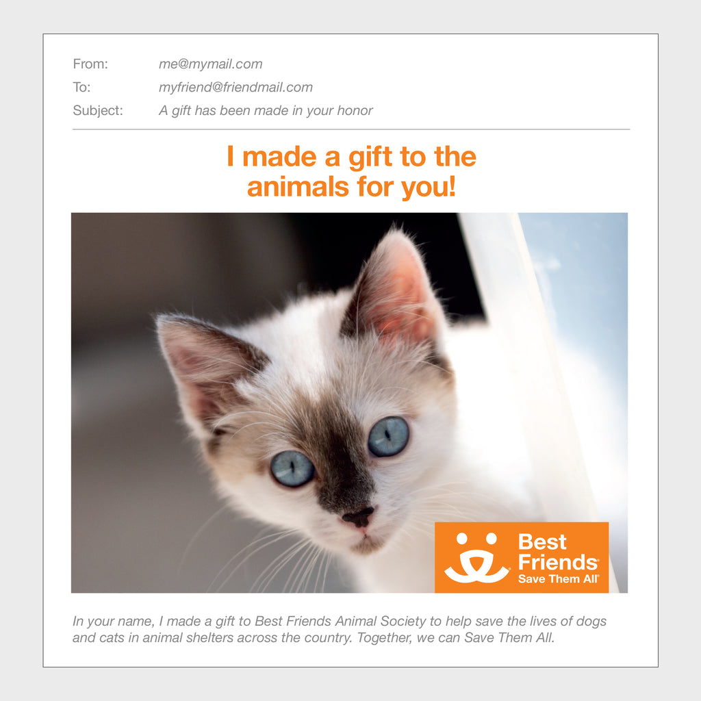 Sponsor Evelyn Best Friends Animal Society's Catalog of Kindness