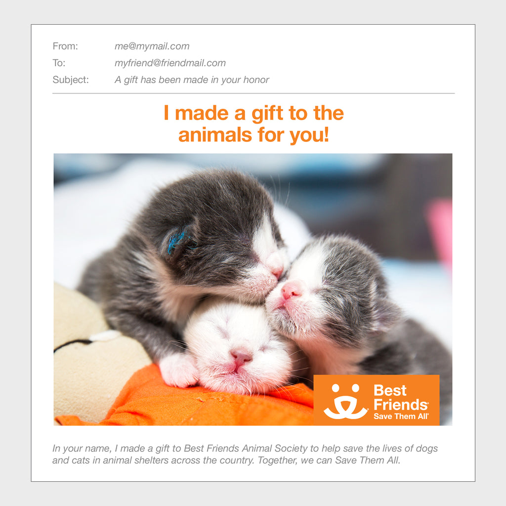 Gift Catalog The Snuggle Bundle Best Friends Animal Society's