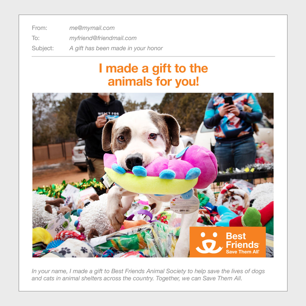 Gift Catalog Dog Enrichment Toys Best Friends Animal Society's