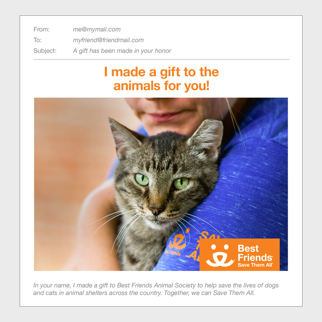 Gift Catalog Helping A Shelter Achieve NoKill Package Best Friends