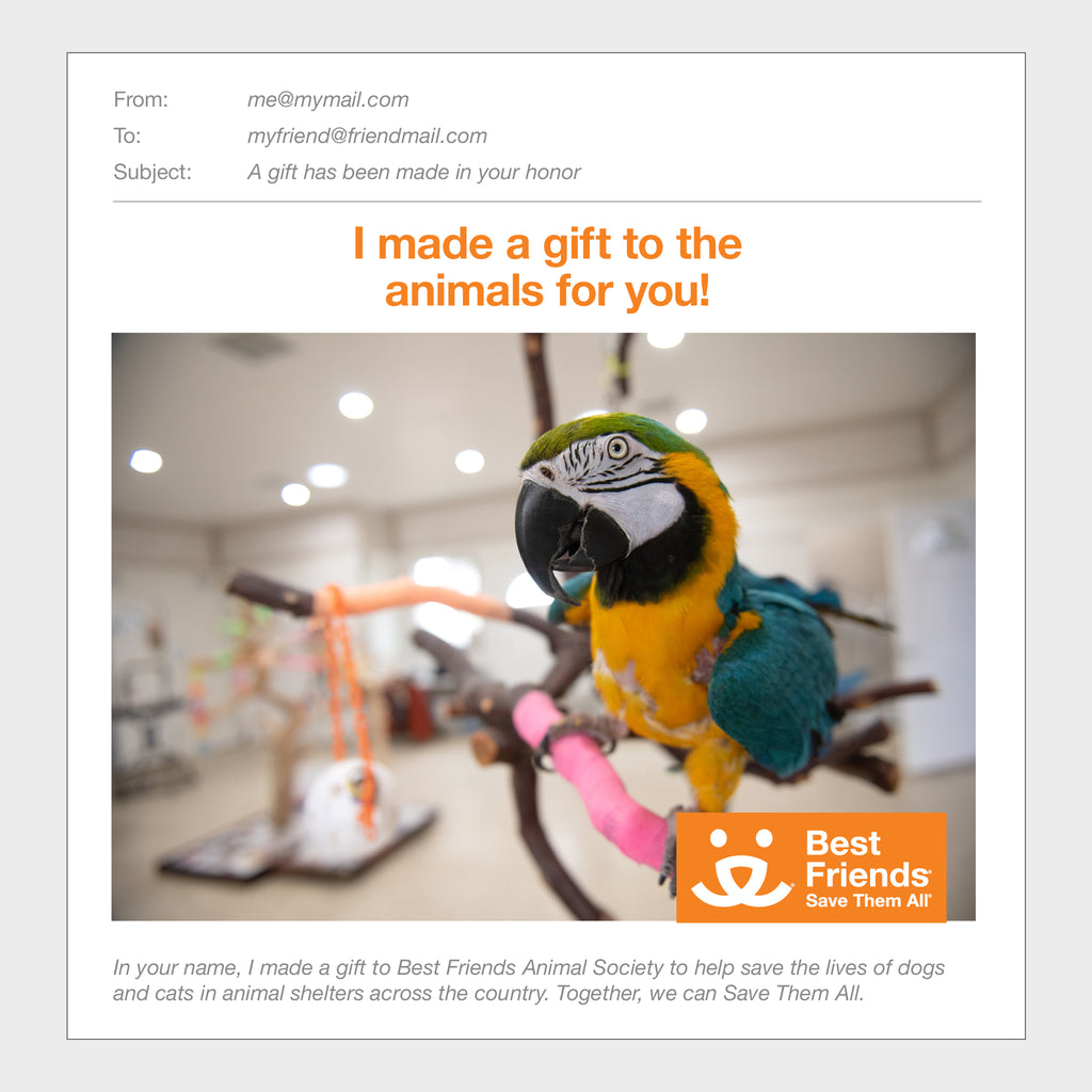 Sponsor Captain Best Friends Animal Society's Catalog of Kindness