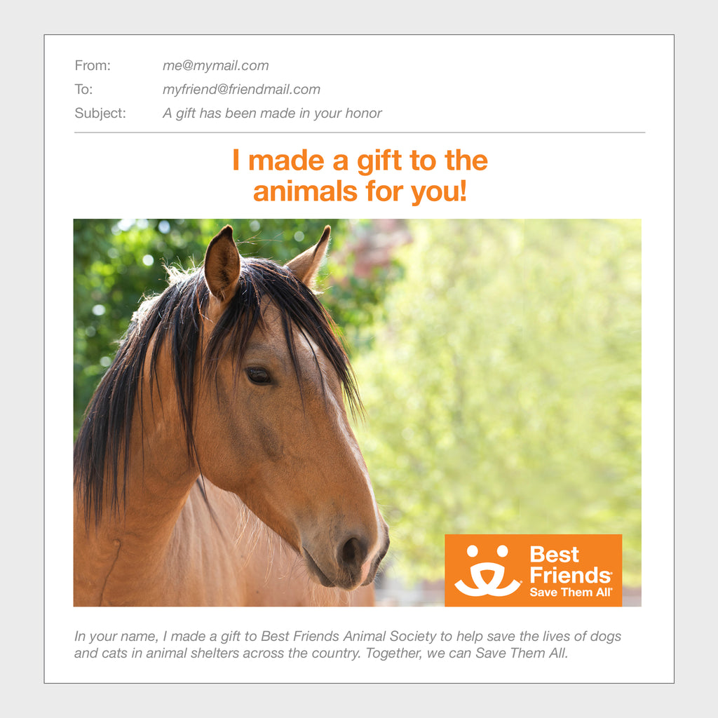 Sponsor Clancy Best Friends Animal Society's Catalog of Kindness