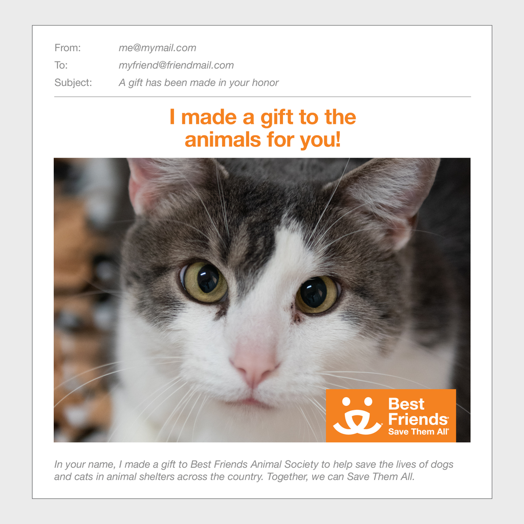 Sponsor Highway Best Friends Animal Society's Catalog of Kindness