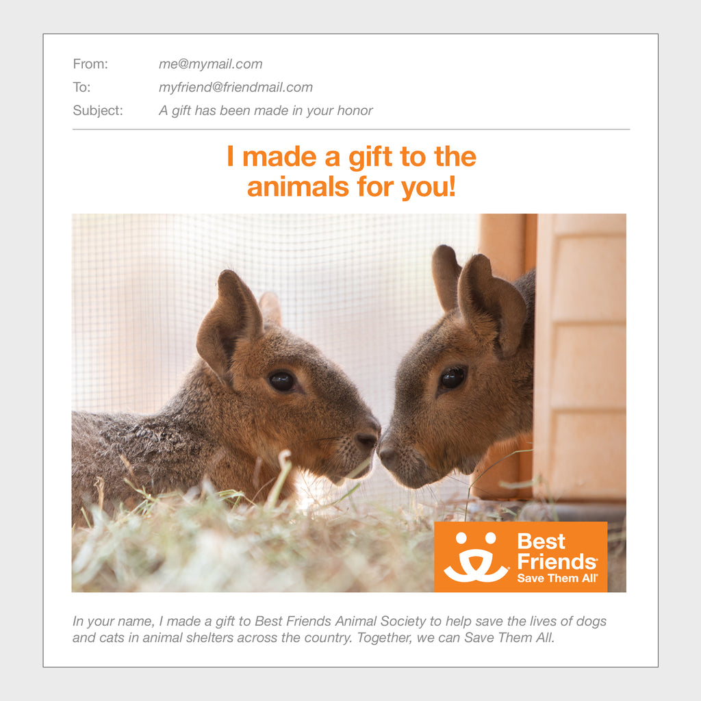 Sponsor Hip and Hup Best Friends Animal Society's Catalog of Kindness