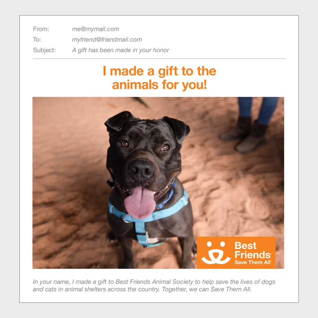 Sponsor Myrtle Best Friends Animal Society's Catalog of Kindness