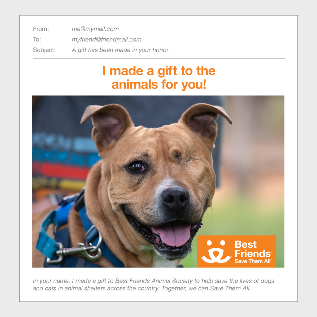 Sponsor Norberta Best Friends Animal Society's Catalog of Kindness