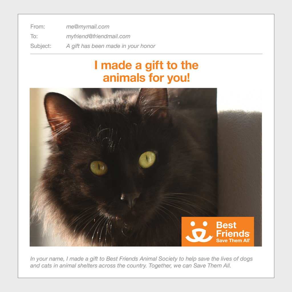 Sponsor Pepe Best Friends Animal Society's Catalog of Kindness