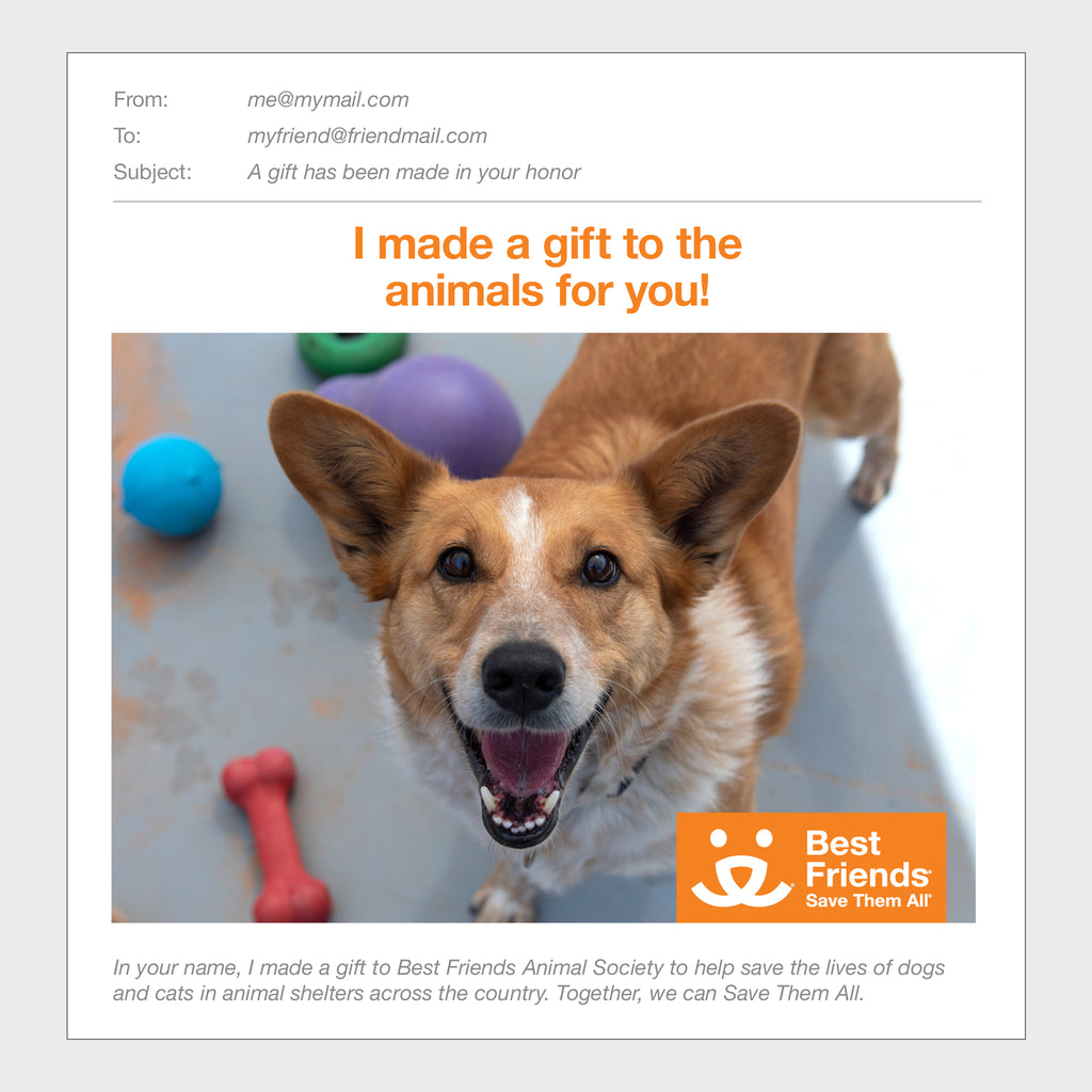 Sponsor Percy Best Friends Animal Society's Catalog of Kindness