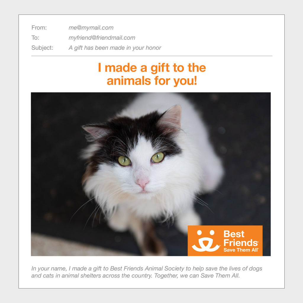 Sponsor Precious Best Friends Animal Society's Catalog of Kindness