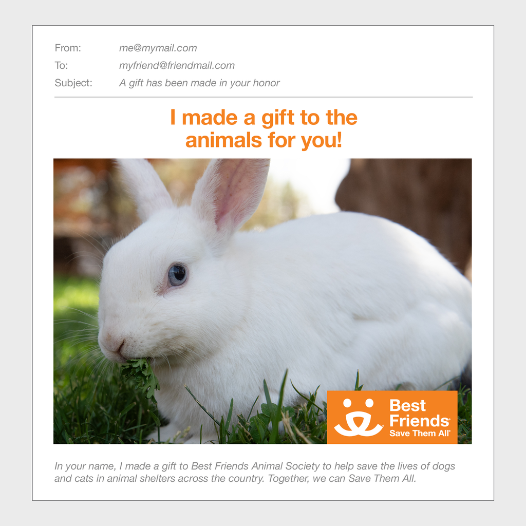 Sponsor Spencer Best Friends Animal Society's Catalog of Kindness