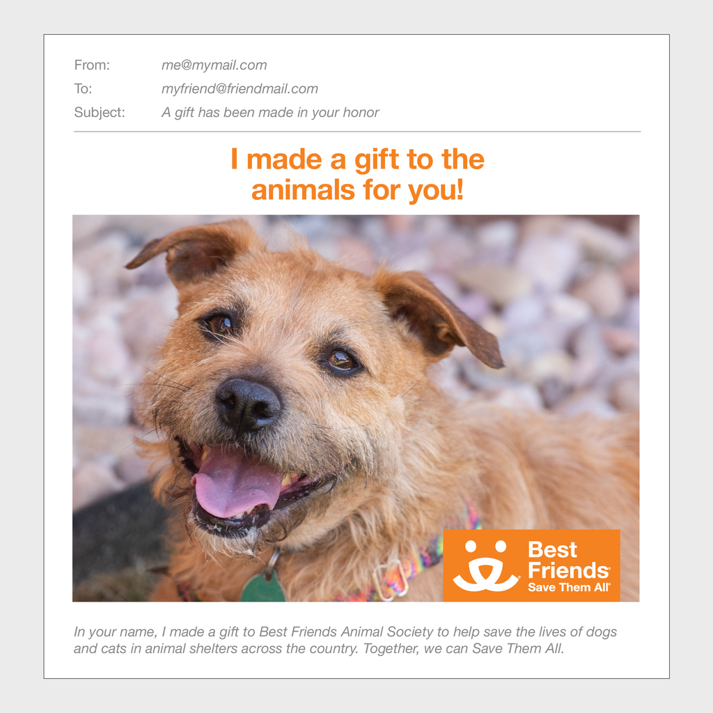Sponsor Venus Best Friends Animal Society's Catalog of Kindness