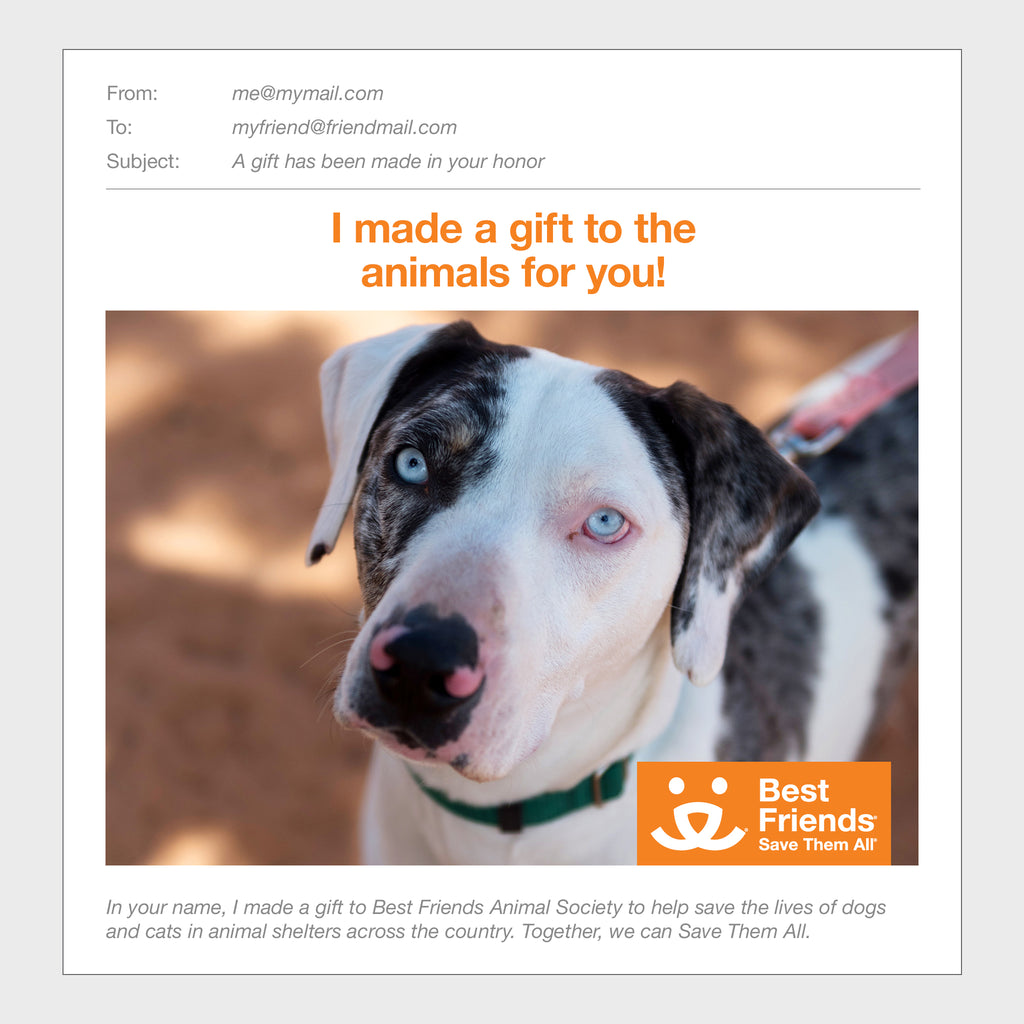 Sponsor Frankie Best Friends Animal Society's Catalog of Kindness