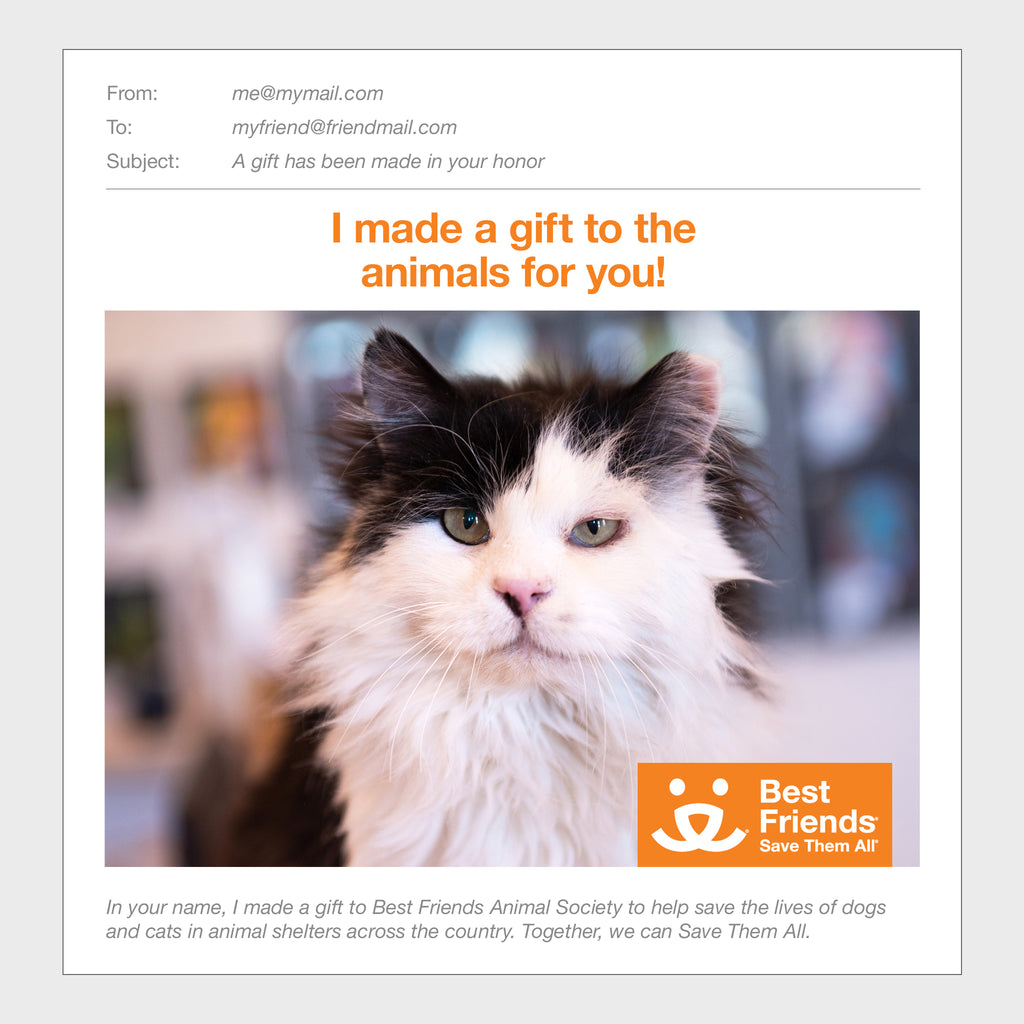 Sponsor Bryce Best Friends Animal Society's Catalog of Kindness