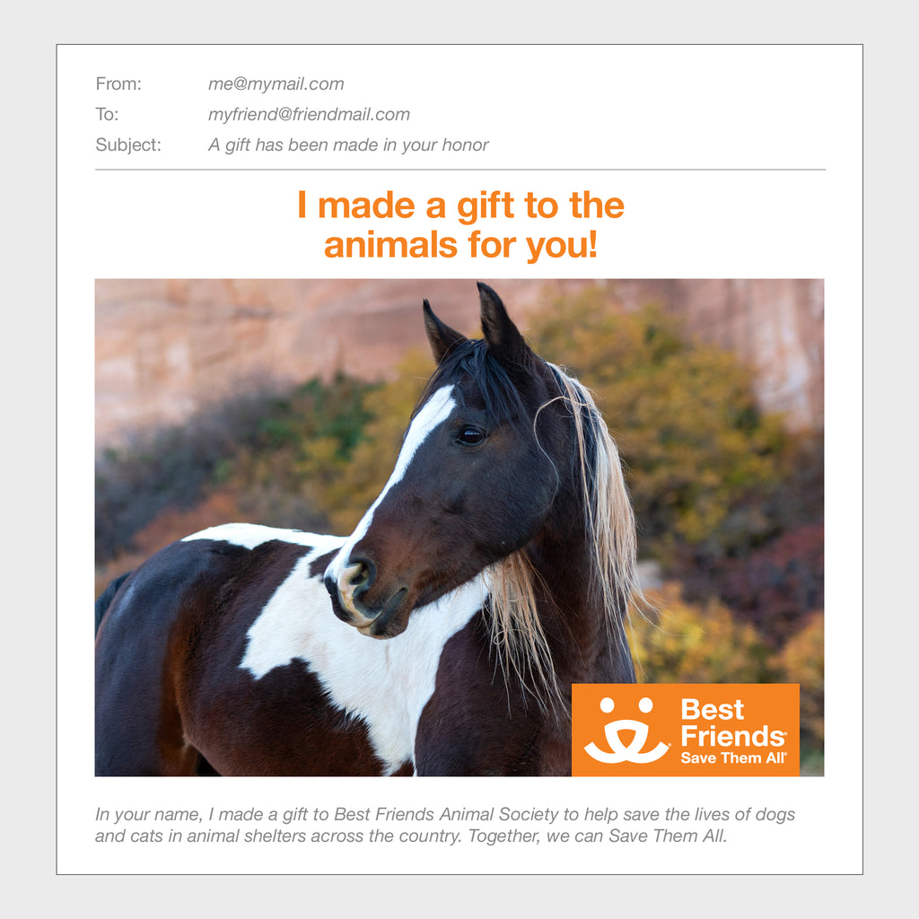 Sponsor Jewel Best Friends Animal Society's Catalog of Kindness