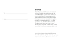 Sponsor Bryce