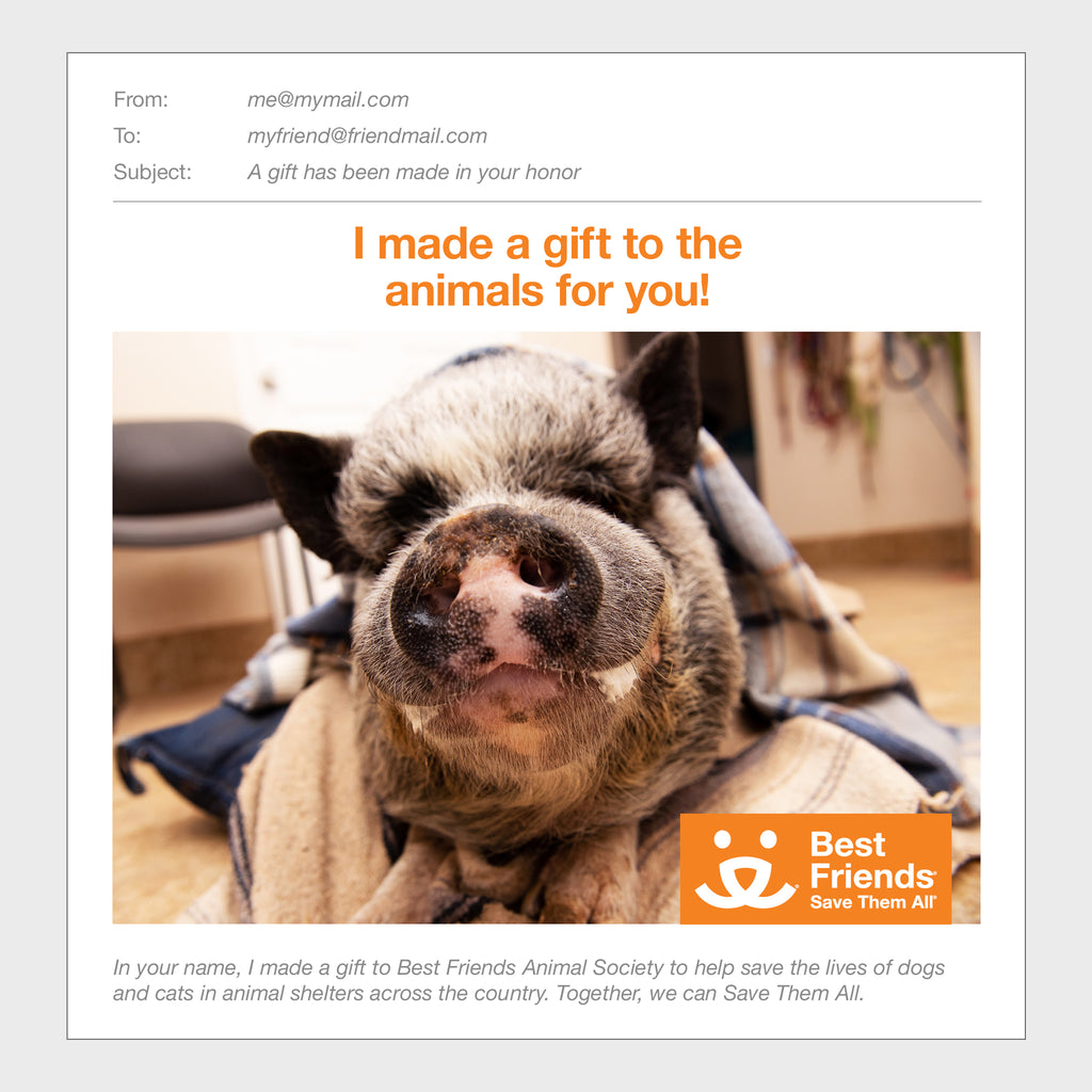 Sponsor Batman Best Friends Animal Society's Catalog of Kindness