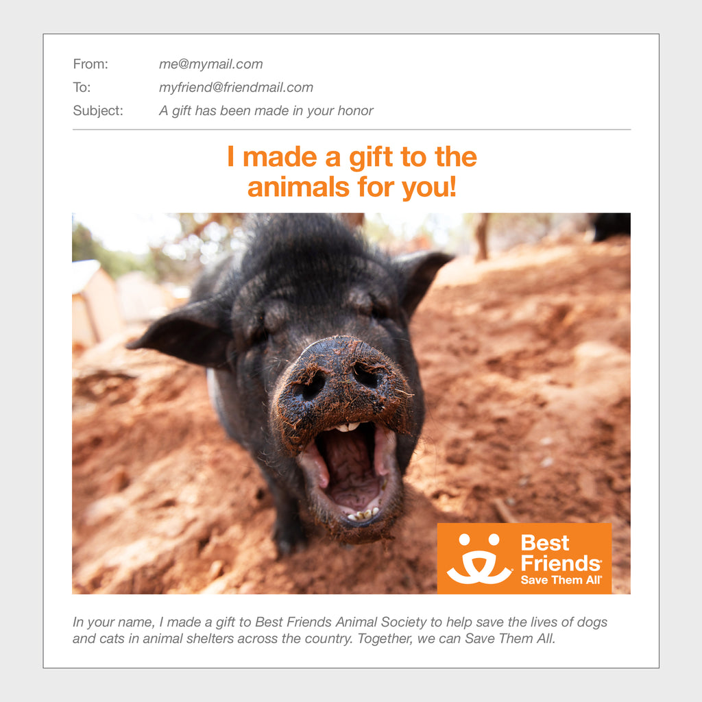 Sponsor Cameo Best Friends Animal Society's Catalog of Kindness