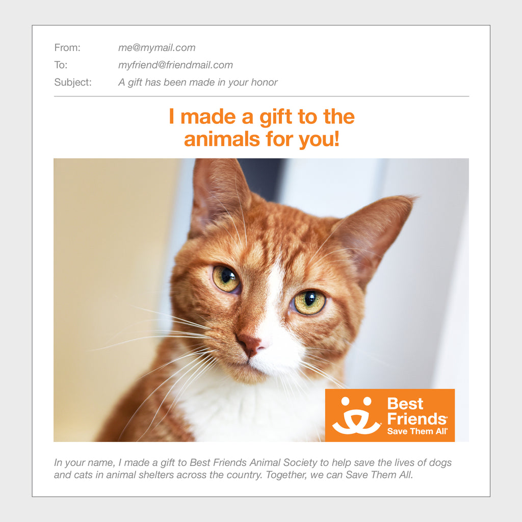 Sponsor Koda Best Friends Animal Society's Catalog of Kindness