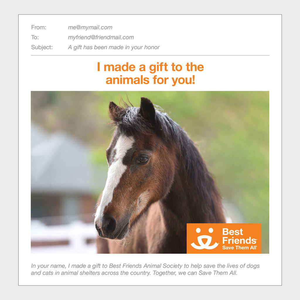 Sponsor Snickers Best Friends Animal Society's Catalog of Kindness
