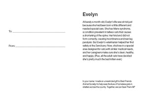 Sponsor Evelyn