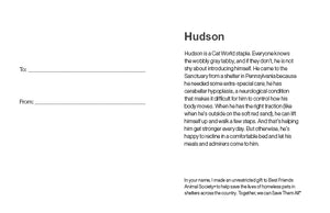 Sponsor Hudson