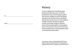 Sponsor Victory