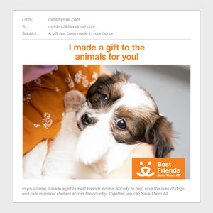 https://gifts.bestfriends.org/cdn/shop/files/234829-PuppyCare-ECardPreview-Puppy_300x300.jpg?v=1696021286
