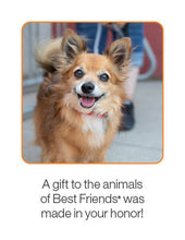 Senior Pet Care Package