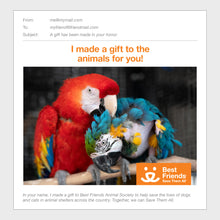 Bird Care Package