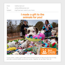 Dog Enrichment Toys