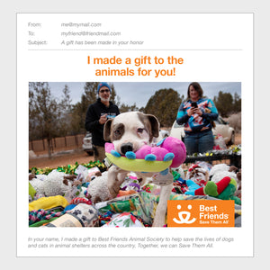 Dog Enrichment Toys
