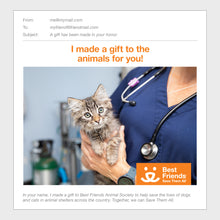 Expert Medical Care