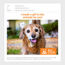 Senior Pet Care Package