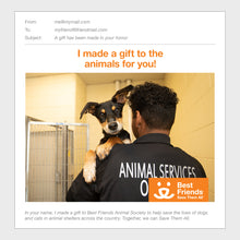 Helping A Shelter Achieve No-Kill Package
