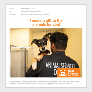 Helping A Shelter Achieve No-Kill Package