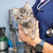 Expert Medical Care