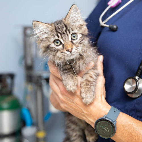 Expert Medical Care