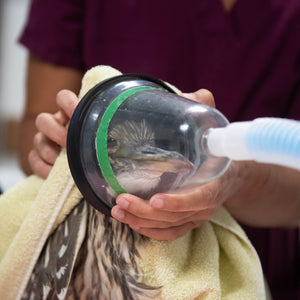 Wildlife Rehab Package