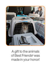 Lifesaving Road Trip