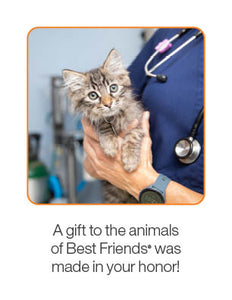 Expert Medical Care