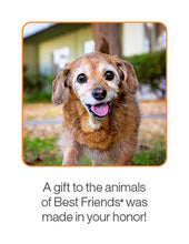 Senior Pet Care Package