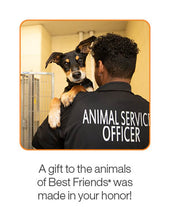 Helping A Shelter Achieve No-Kill Package