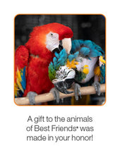 Bird Care Package