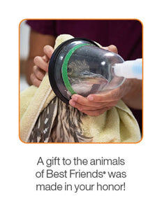 Wildlife Rehab Package