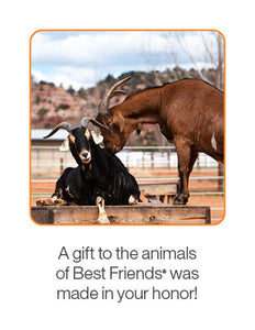 Goat Care Package