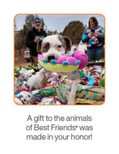 Dog Enrichment Toys