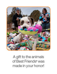 Dog Enrichment Toys