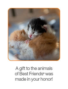The Snuggle Bundle